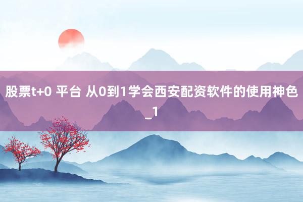 股票t+0 平台 从0到1学会西安配资软件的使用神色_1